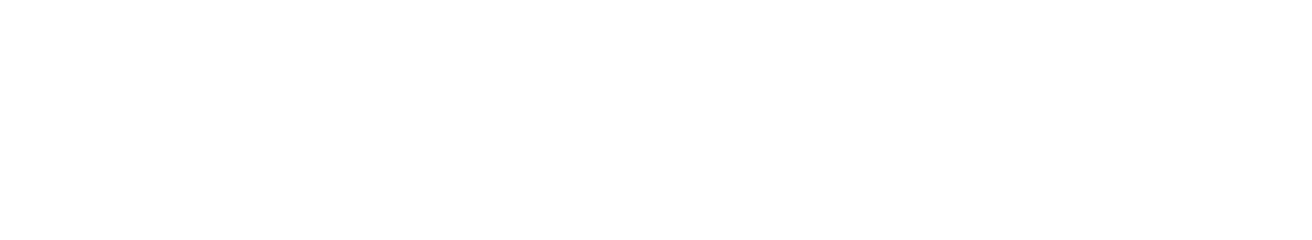 Palo Alto Networks Logo