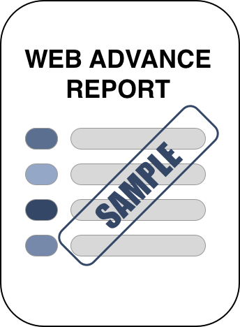 Web Advance Sample Report